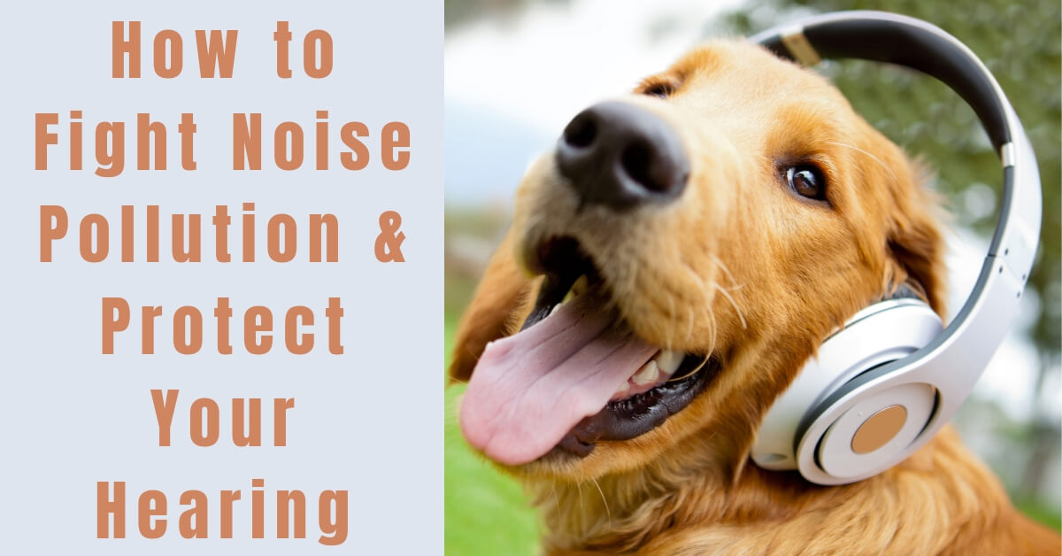 How to Fight Noise Pollution & Protect Your Hearing